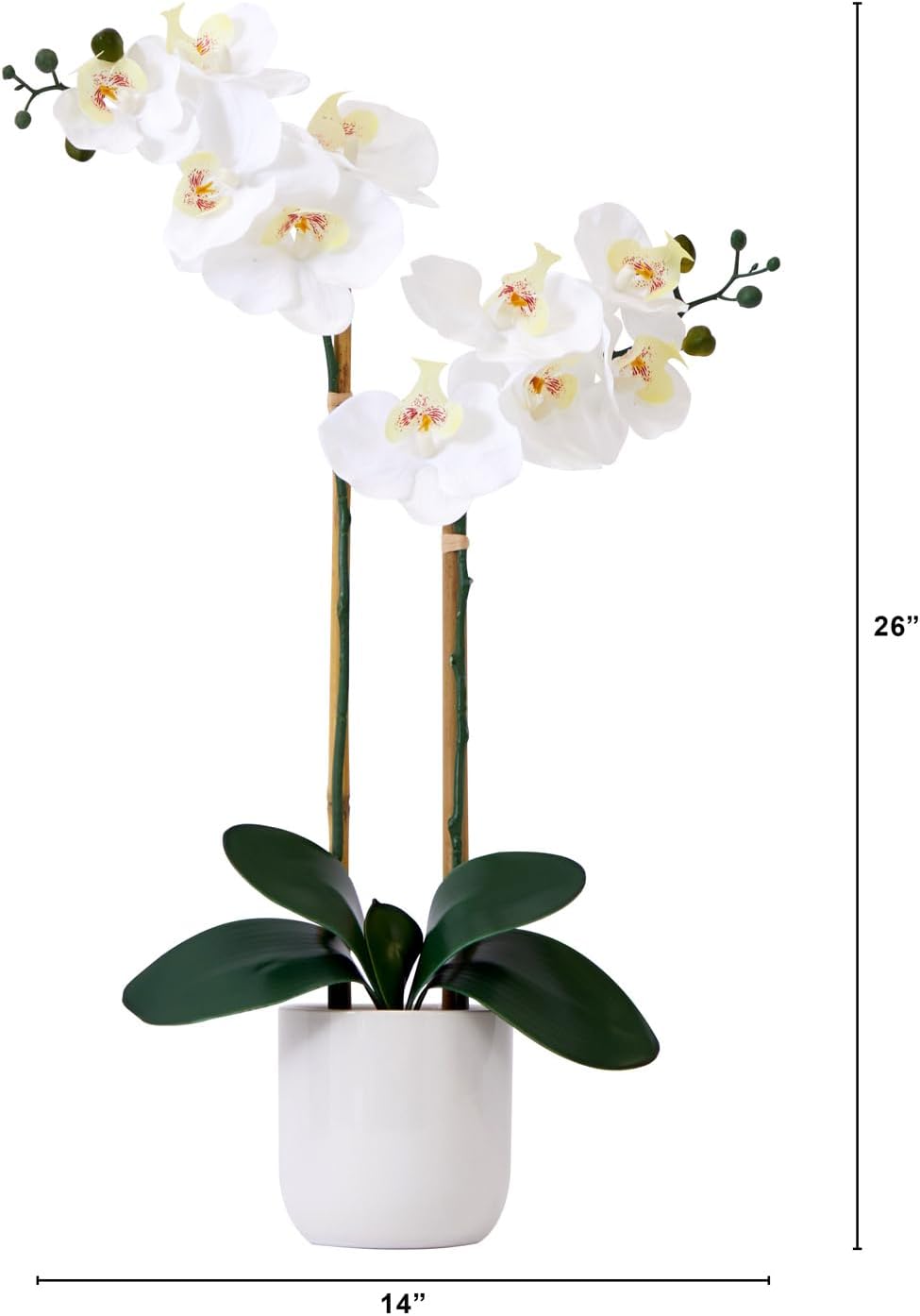 Nearly Natural 26 in Artificial Double Phalaenopsis Orchid with Vase