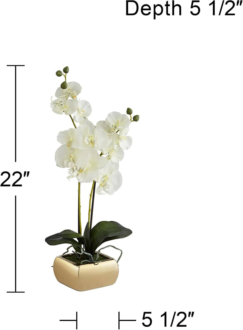 Dahlia Studios Potted Silk Faux Artificial Flowers Realistic White Phalaenopsis Orchid Greenery in Gold Ceramic Pot for Home Decoration Living Room Office Bedroom Bathroom Kitchen 22" High