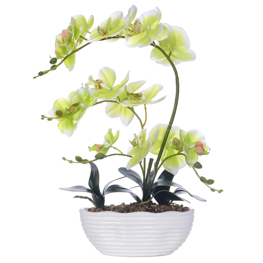 Large Silk Orchid in Wave Pot 19" Phalaenopsis Centerpiece for Table, White