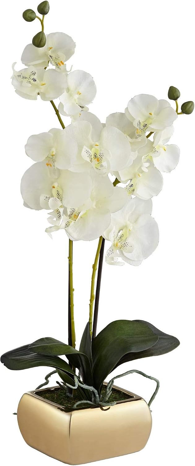 Dahlia Studios Potted Silk Faux Artificial Flowers Realistic White Phalaenopsis Orchid Greenery in Gold Ceramic Pot for Home Decoration Living Room Office Bedroom Bathroom Kitchen 22" High