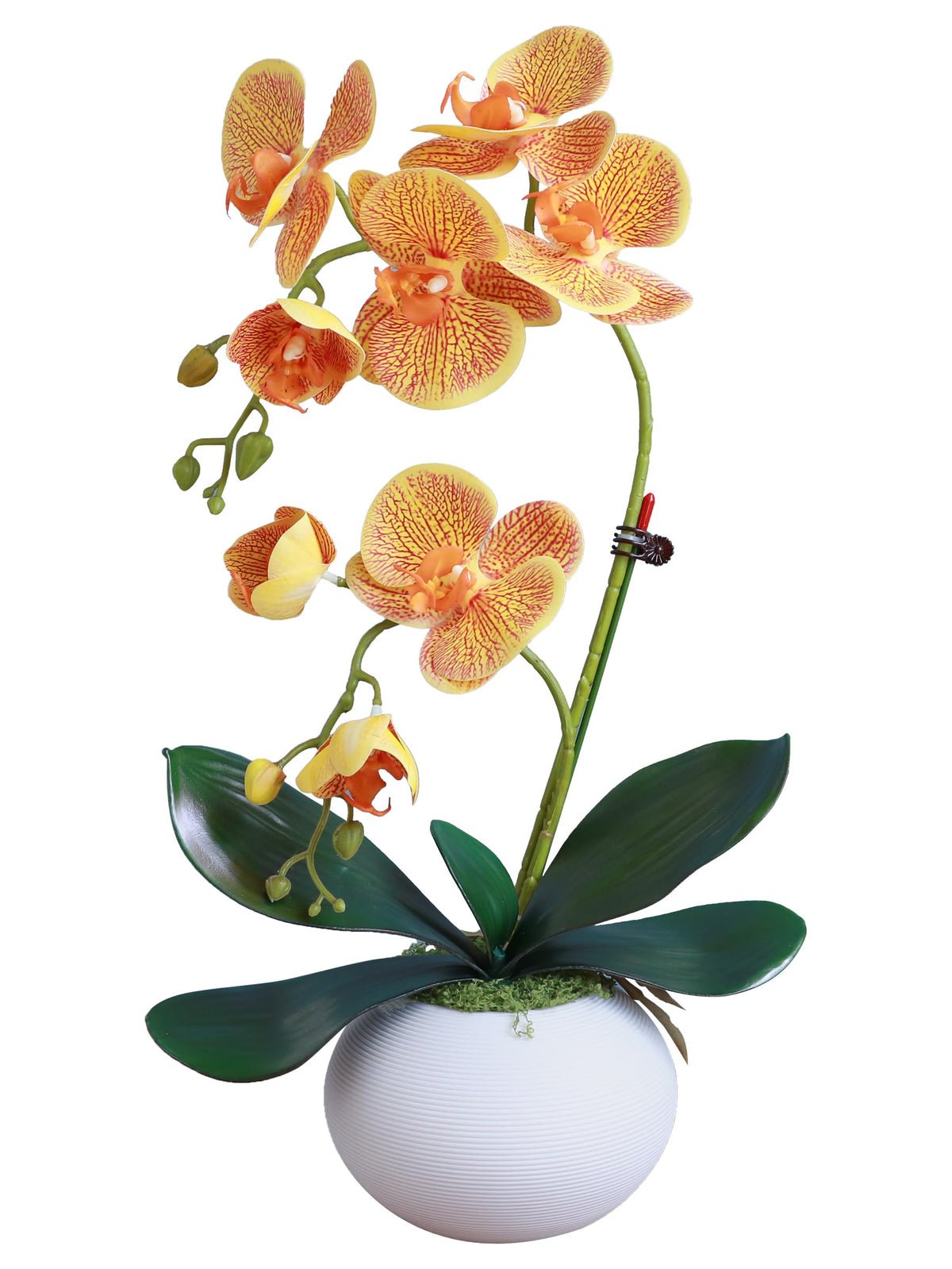 Forlaoers Tall 17" White Real Touch Orchid Artificial Flowers with Vase Fake Orchids Silk Floral for Home Decor Indoor Bathroom Decoration Potted Office Table Top Centerpieces Arrangements