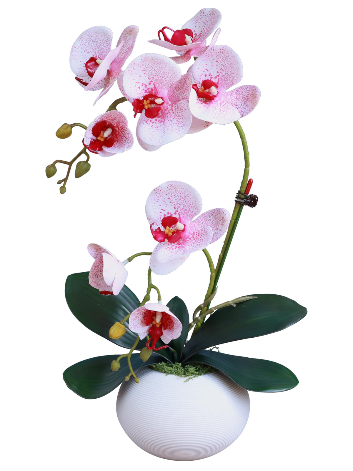 Forlaoers Tall 17" White Real Touch Orchid Artificial Flowers with Vase Fake Orchids Silk Floral for Home Decor Indoor Bathroom Decoration Potted Office Table Top Centerpieces Arrangements