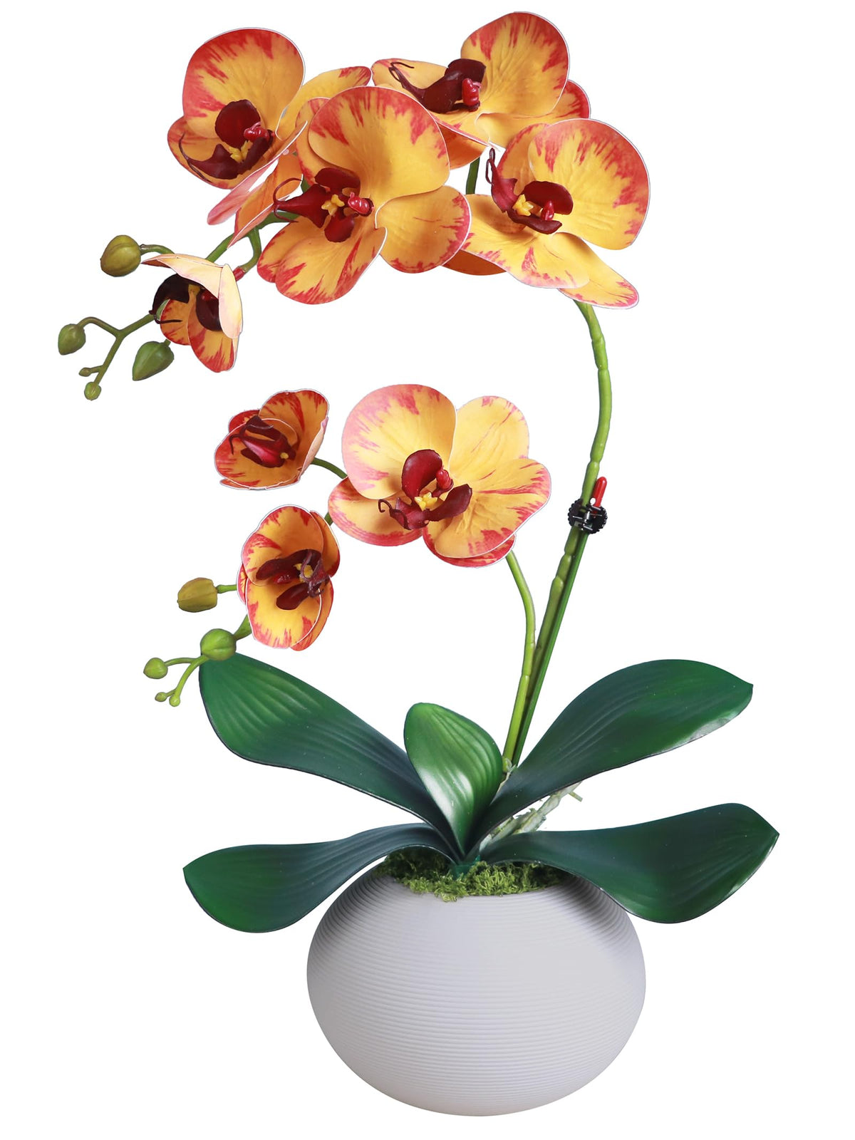 Forlaoers Tall 17" White Real Touch Orchid Artificial Flowers with Vase Fake Orchids Silk Floral for Home Decor Indoor Bathroom Decoration Potted Office Table Top Centerpieces Arrangements
