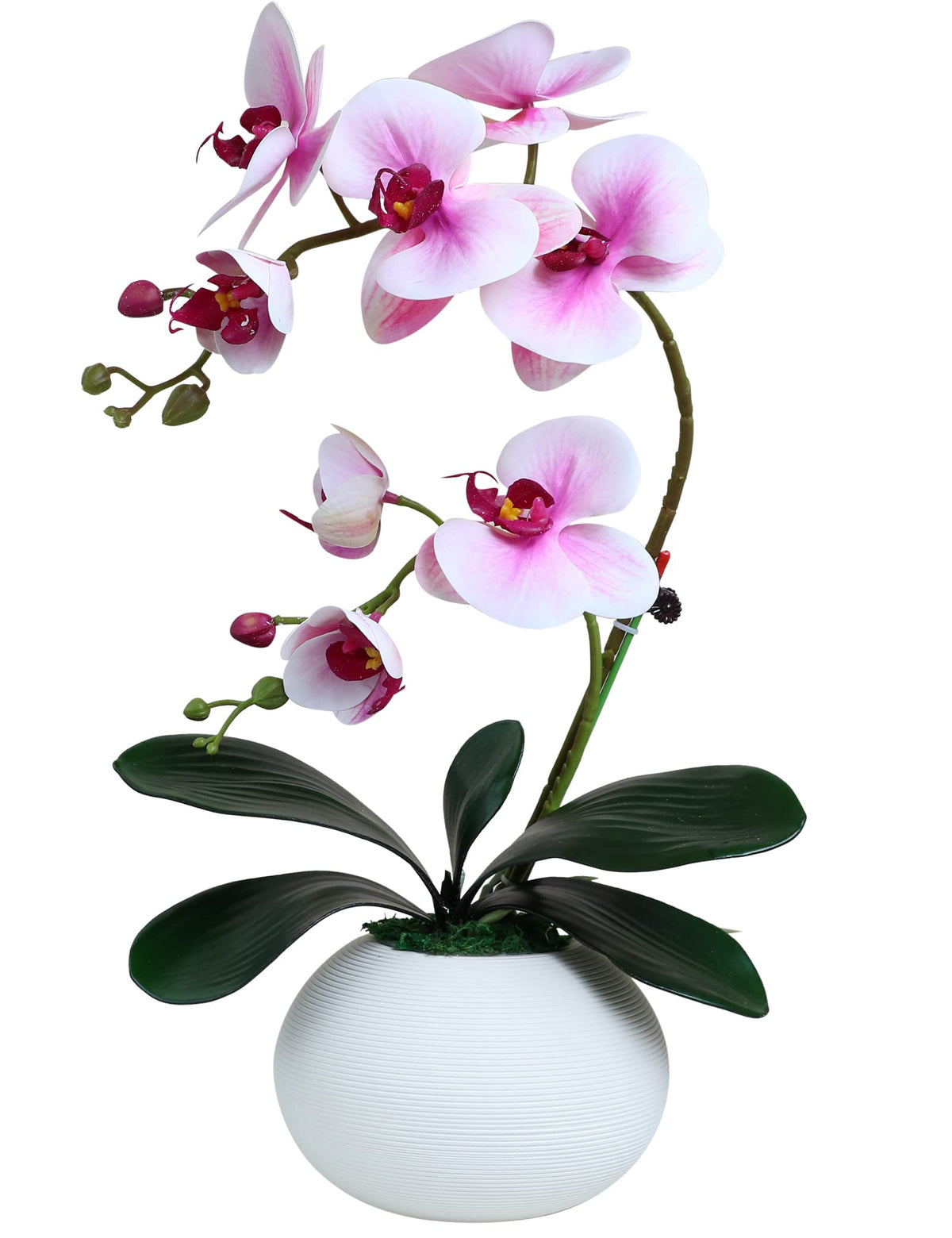 Forlaoers Tall 17" White Real Touch Orchid Artificial Flowers with Vase Fake Orchids Silk Floral for Home Decor Indoor Bathroom Decoration Potted Office Table Top Centerpieces Arrangements