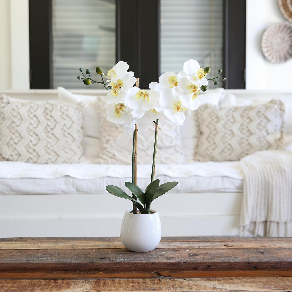 Nearly Natural 26 in Artificial Double Phalaenopsis Orchid with Vase