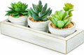 3 Pack Mini Artificial Succulent Plants with Wooden Tray
