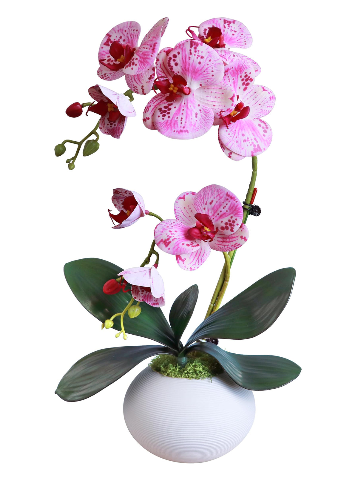 Forlaoers Tall 17" White Real Touch Orchid Artificial Flowers with Vase Fake Orchids Silk Floral for Home Decor Indoor Bathroom Decoration Potted Office Table Top Centerpieces Arrangements