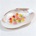QEQEKAKA 11" Natural Seashell Bowl Extra Large Polishing Clam Shell Bowl