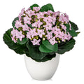 Hollyone Artificial Plants & Flowers in Vase Pink Roses Artificial Flowers Potted Plant Faux Silk Flower with Pot Fake Rose Flower Arrangement Home Decor Office Bathroom Shelf Desk Decoration 15 Inch