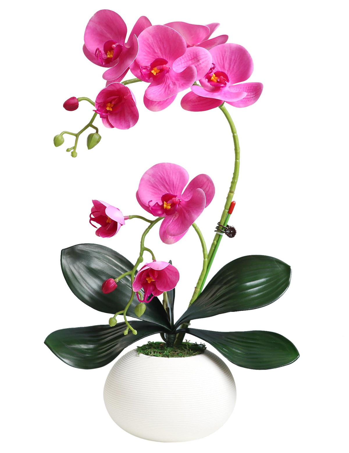 Forlaoers Tall 17" White Real Touch Orchid Artificial Flowers with Vase Fake Orchids Silk Floral for Home Decor Indoor Bathroom Decoration Potted Office Table Top Centerpieces Arrangements