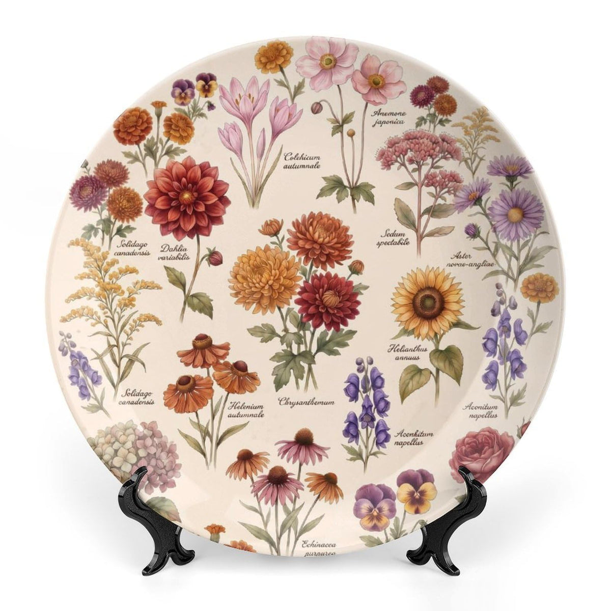 Decorative Plates for Display Fall Harvest Wall Plates 8 Inch