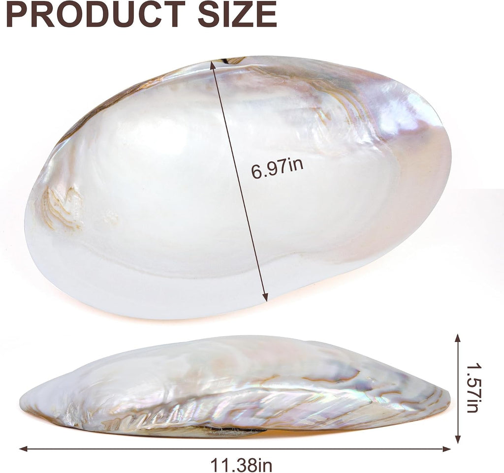 QEQEKAKA 11" Natural Seashell Bowl Extra Large Polishing Clam Shell Bowl