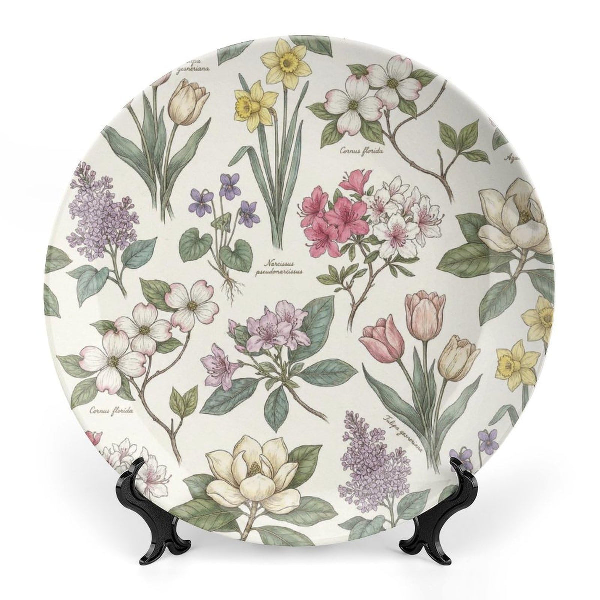 Hydrangea Decorative Plates for Display 10 Inch Floral Wall Decor