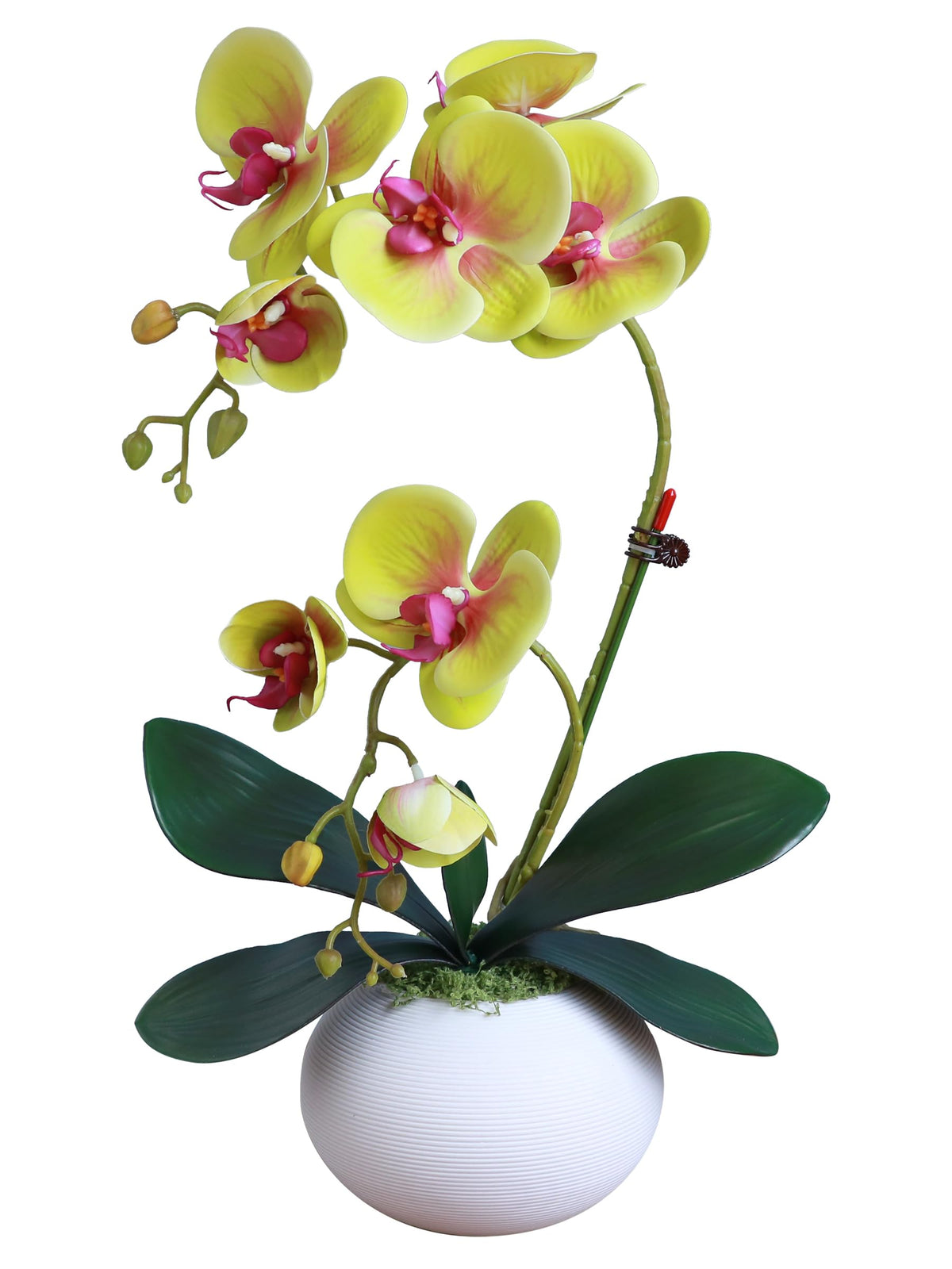 Forlaoers Tall 17" White Real Touch Orchid Artificial Flowers with Vase Fake Orchids Silk Floral for Home Decor Indoor Bathroom Decoration Potted Office Table Top Centerpieces Arrangements