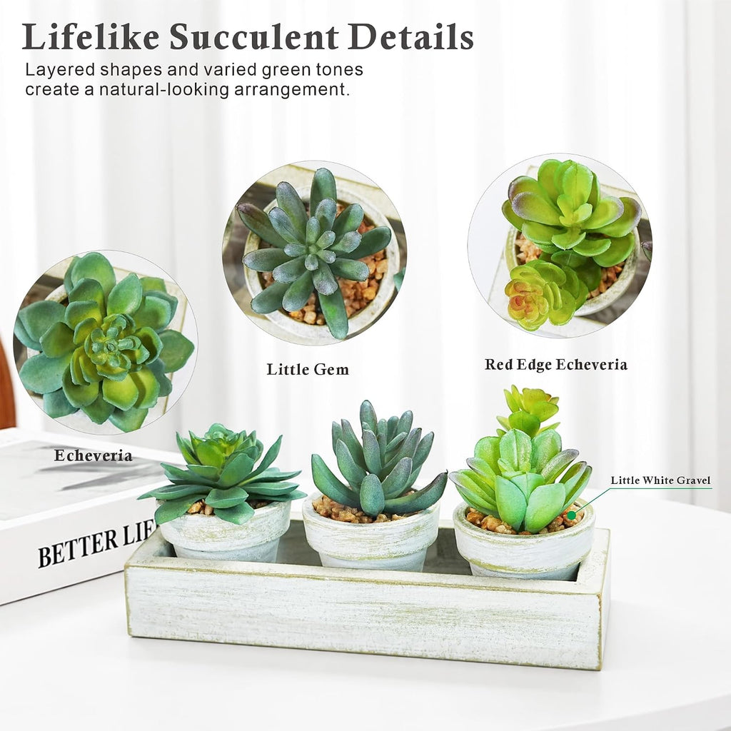 3 Pack Mini Artificial Succulent Plants with Wooden Tray