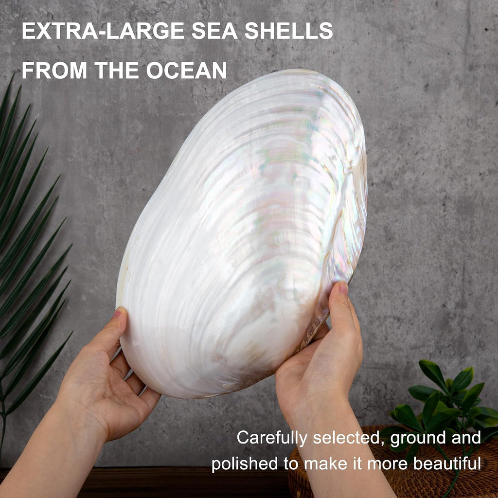 QEQEKAKA 11" Natural Seashell Bowl Extra Large Polishing Clam Shell Bowl