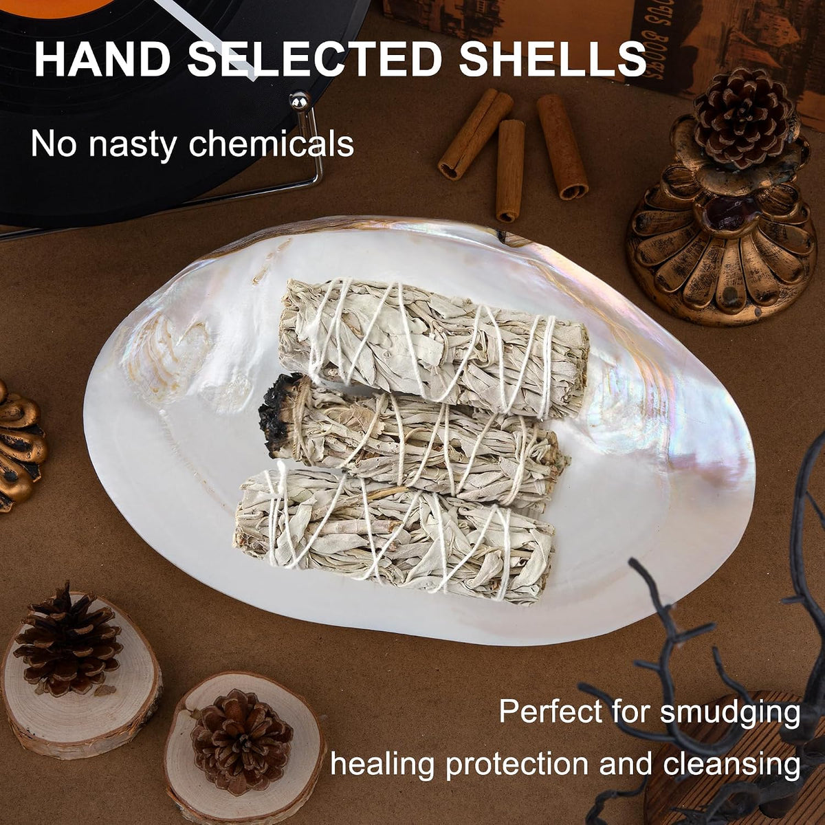 QEQEKAKA 11" Natural Seashell Bowl Extra Large Polishing Clam Shell Bowl