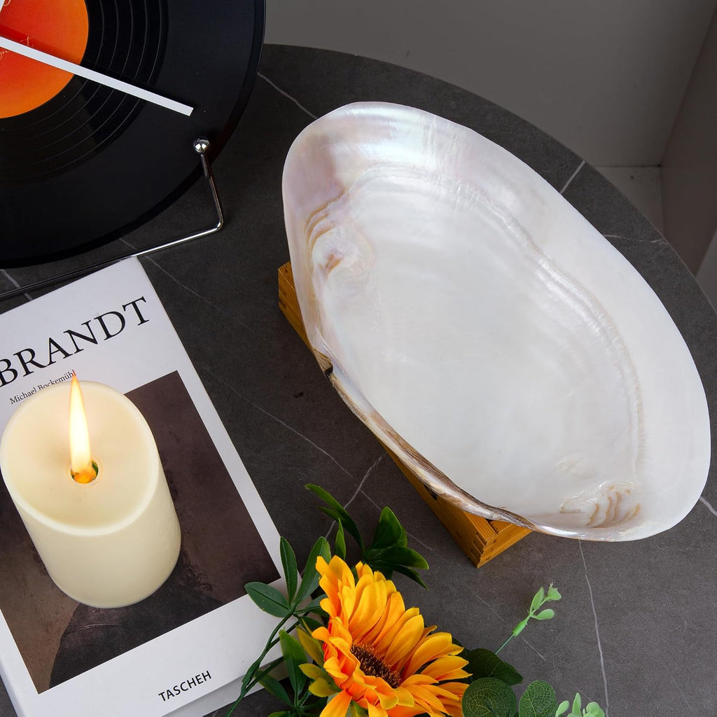 QEQEKAKA 11" Natural Seashell Bowl Extra Large Polishing Clam Shell Bowl