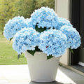 Auihiay 6 Bundles Blue Hydrangea Artificial Flowers for Outdoors and Indoor