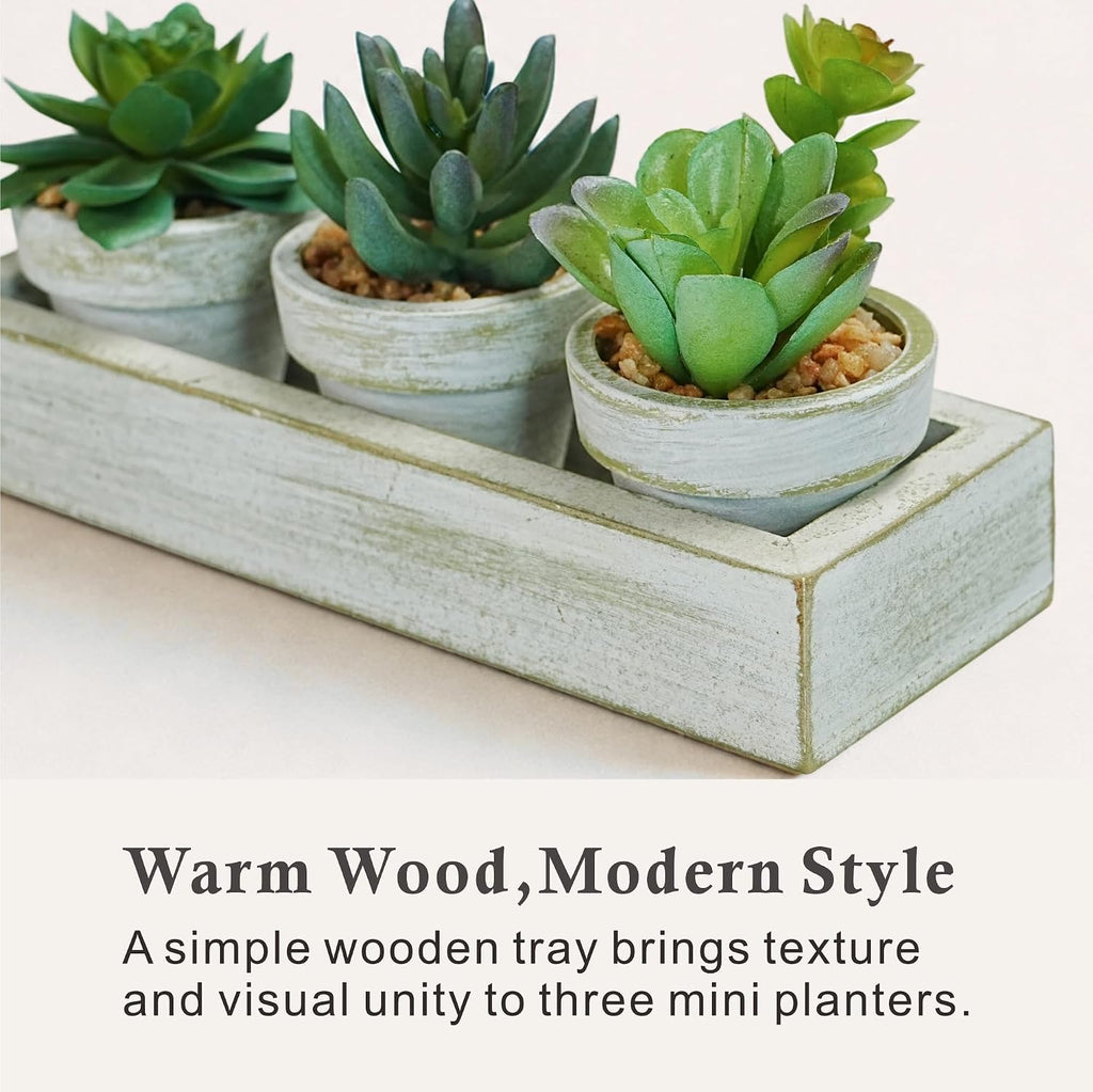 3 Pack Mini Artificial Succulent Plants with Wooden Tray